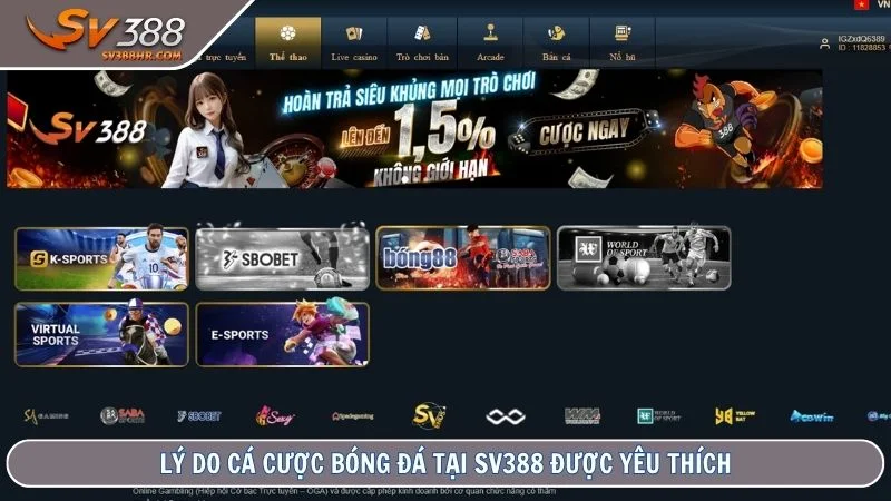 Lý do cá cược bóng đá tại SV388 được yêu thích