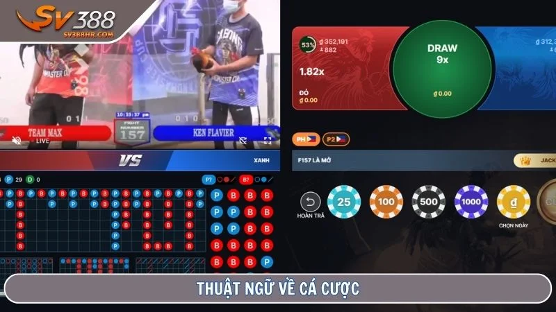 Thuật ngữ về cá cược