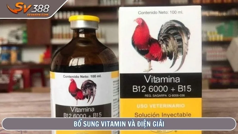 Bổ sung vitamin và điện giải