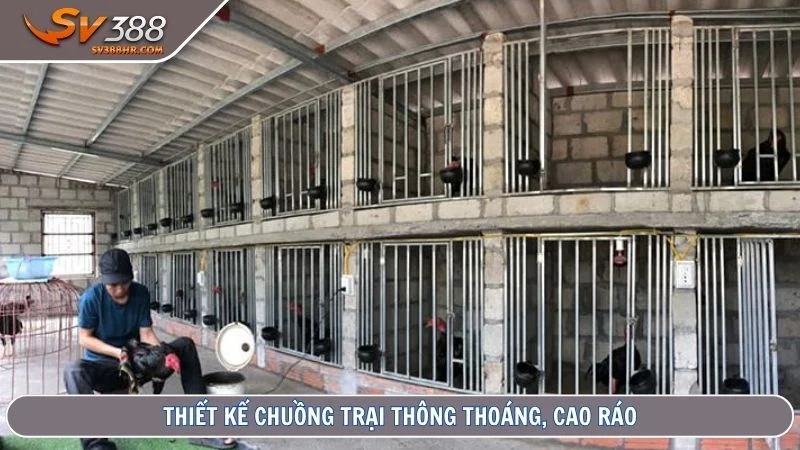 Thiết kế chuồng trại thông thoáng, cao ráo