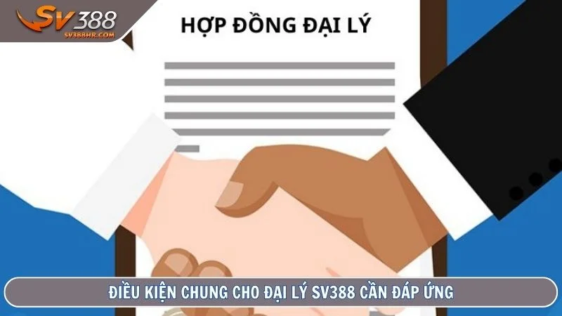 Điều kiện chung cho đại lý SV388 cần đáp ứng